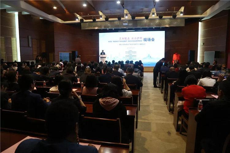 1557474867968053874.jpg 1.jpg