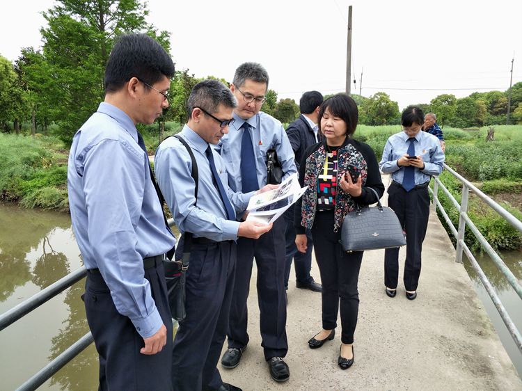 1559121758031082047.jpg 1.jpg