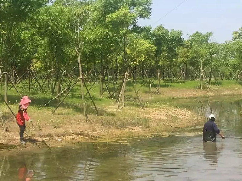 1559290895625079386.jpg 2.jpg