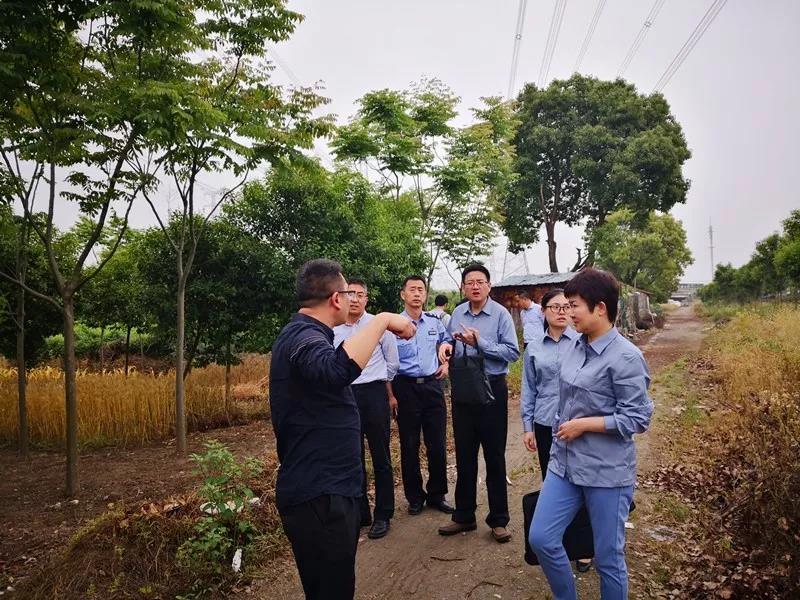 1577756483093091767.jpg 回填01.jpg