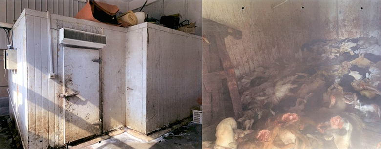 1587086098968090057.jpg 未标题-1.jpg