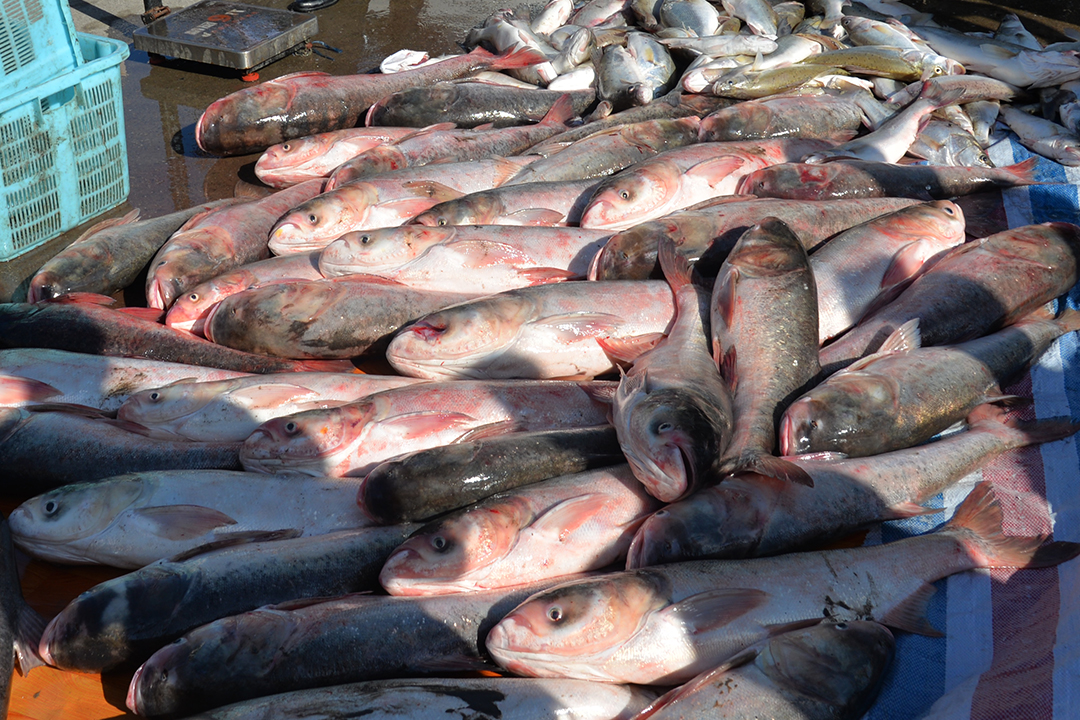 1588123595641008834.jpg DSC_2057.jpg