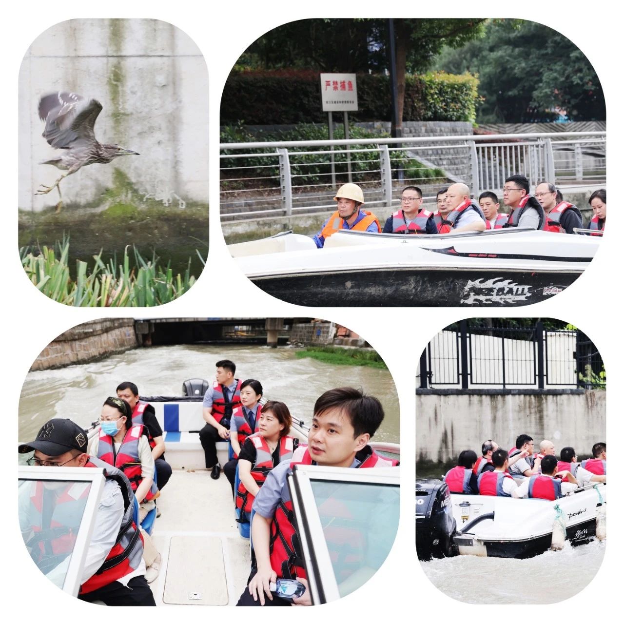 1697782161686062451.jpg 1.jpg